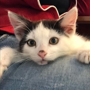 Meet your Posher, Cammy